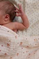 Little Pea_Cam Cam Βρεφική κουβερτούλα μουσελίνας,Bows 1